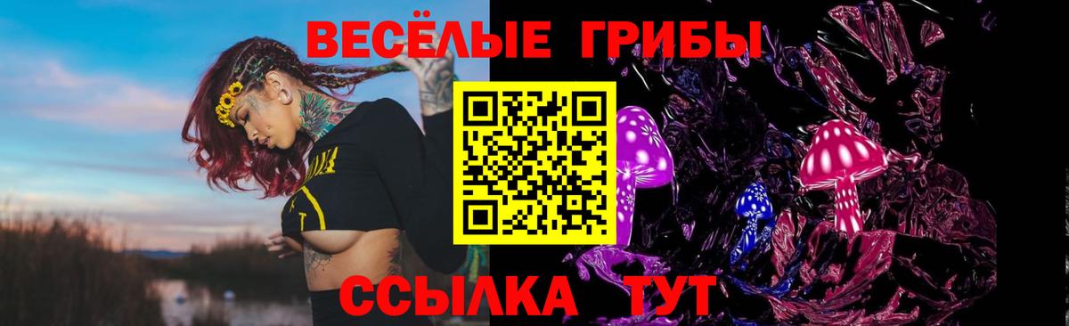 Осинники  Галлюциногенные грибы Magic Shrooms  магазин продажи наркотиков  Вход с VPN 